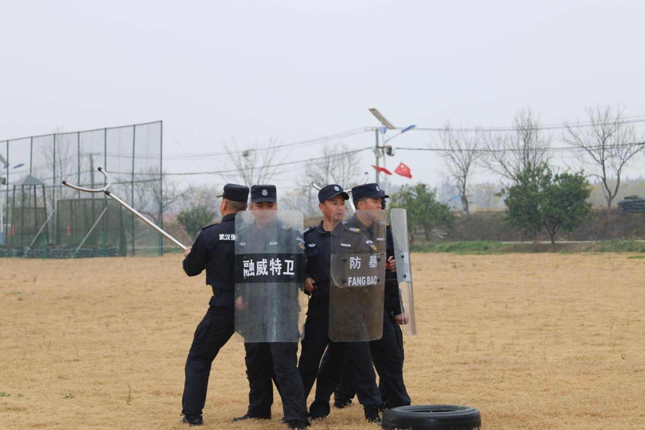 图片9.png