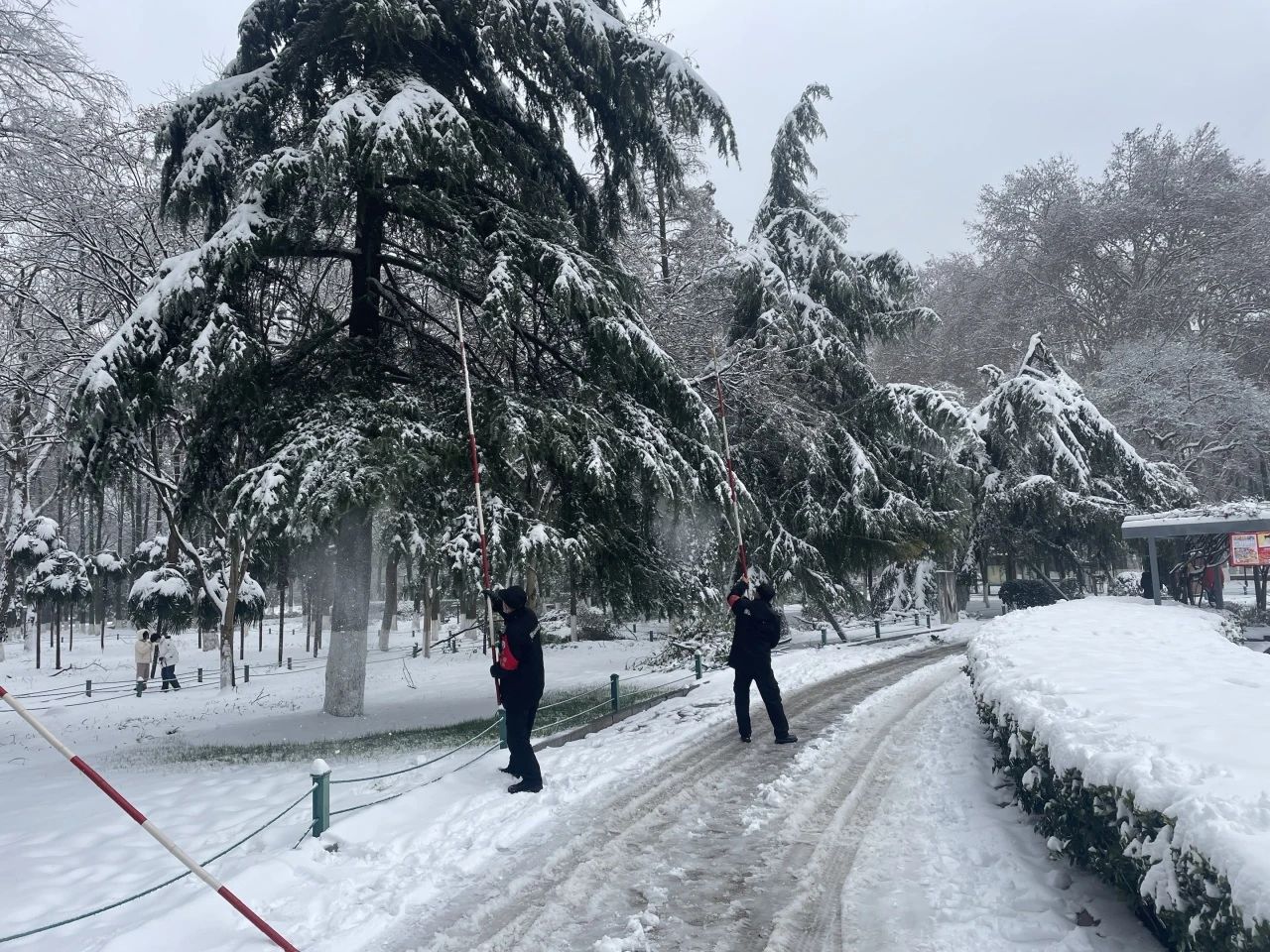 194bab414906cfe7a27353389aa06406.jpg 194bab414906cfe7a27353389aa06406.jpg