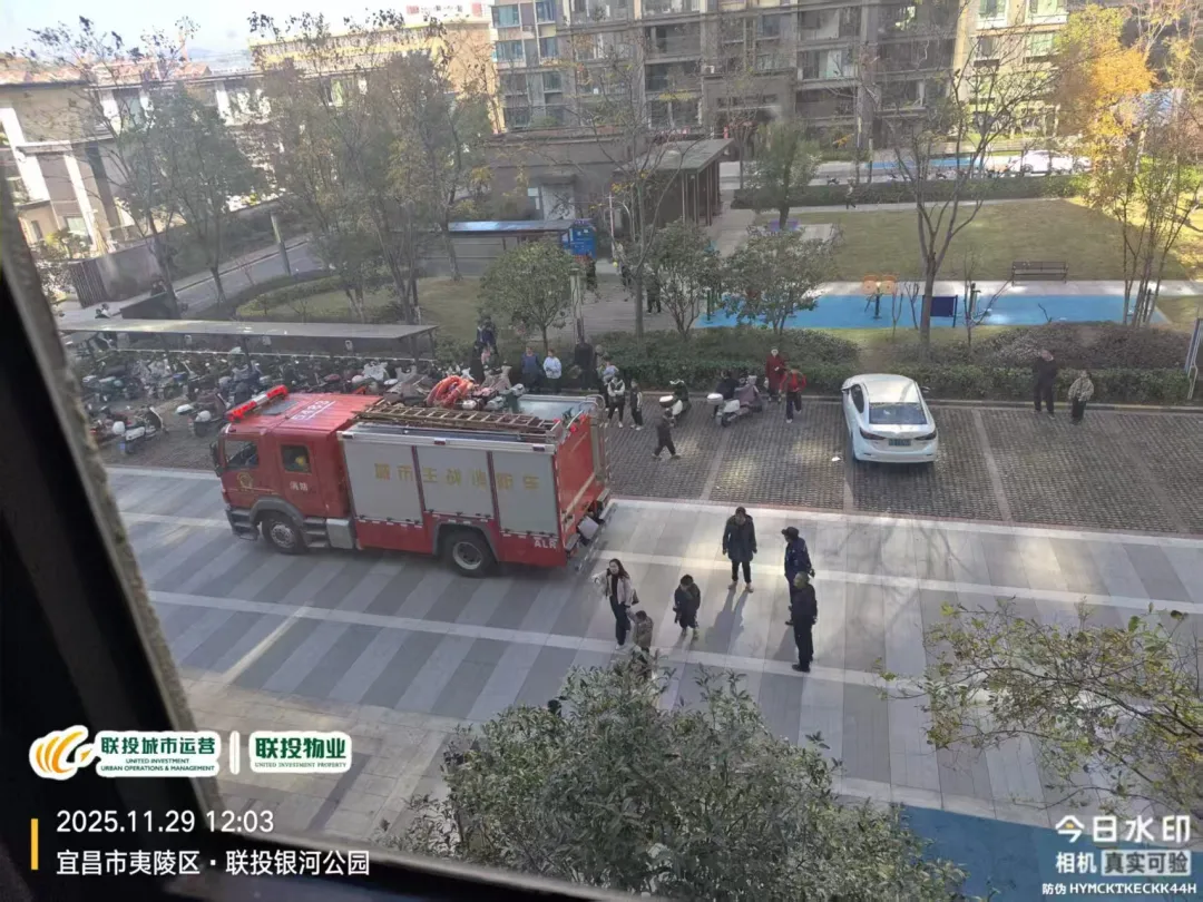 图片 3.png 图片 3.png