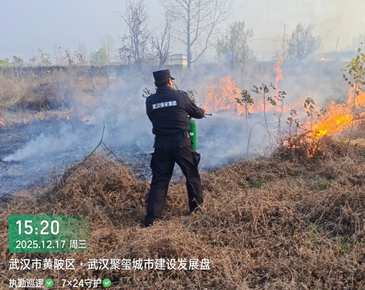 图片 3.png 图片 3.png